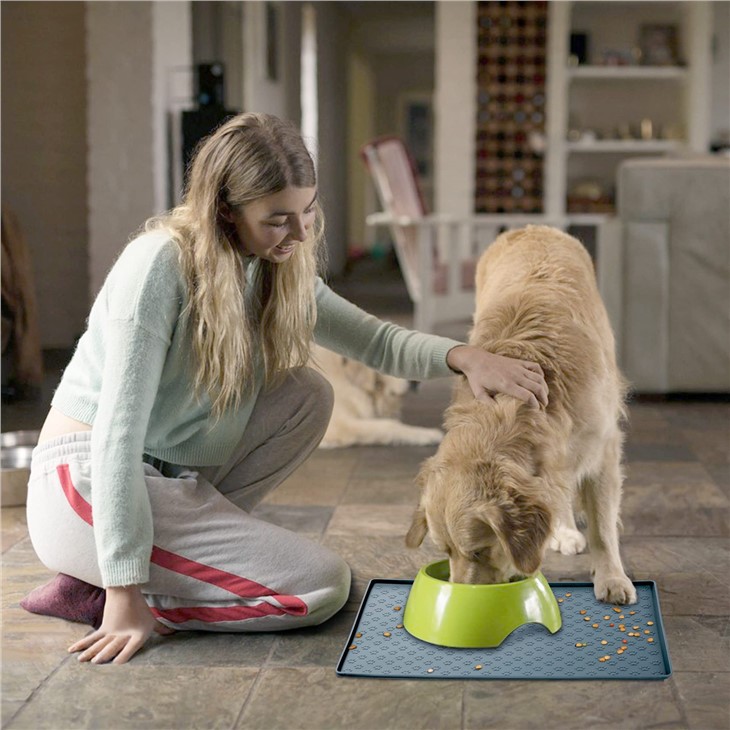 Silicone Dog Food Mat